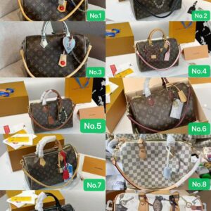 LOUIS VUITTON Bag